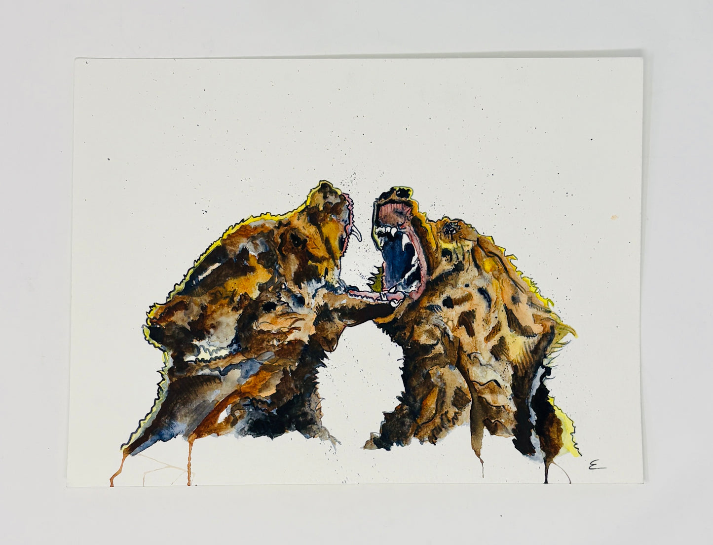 Steve Ehrlich: Bear Watercolors