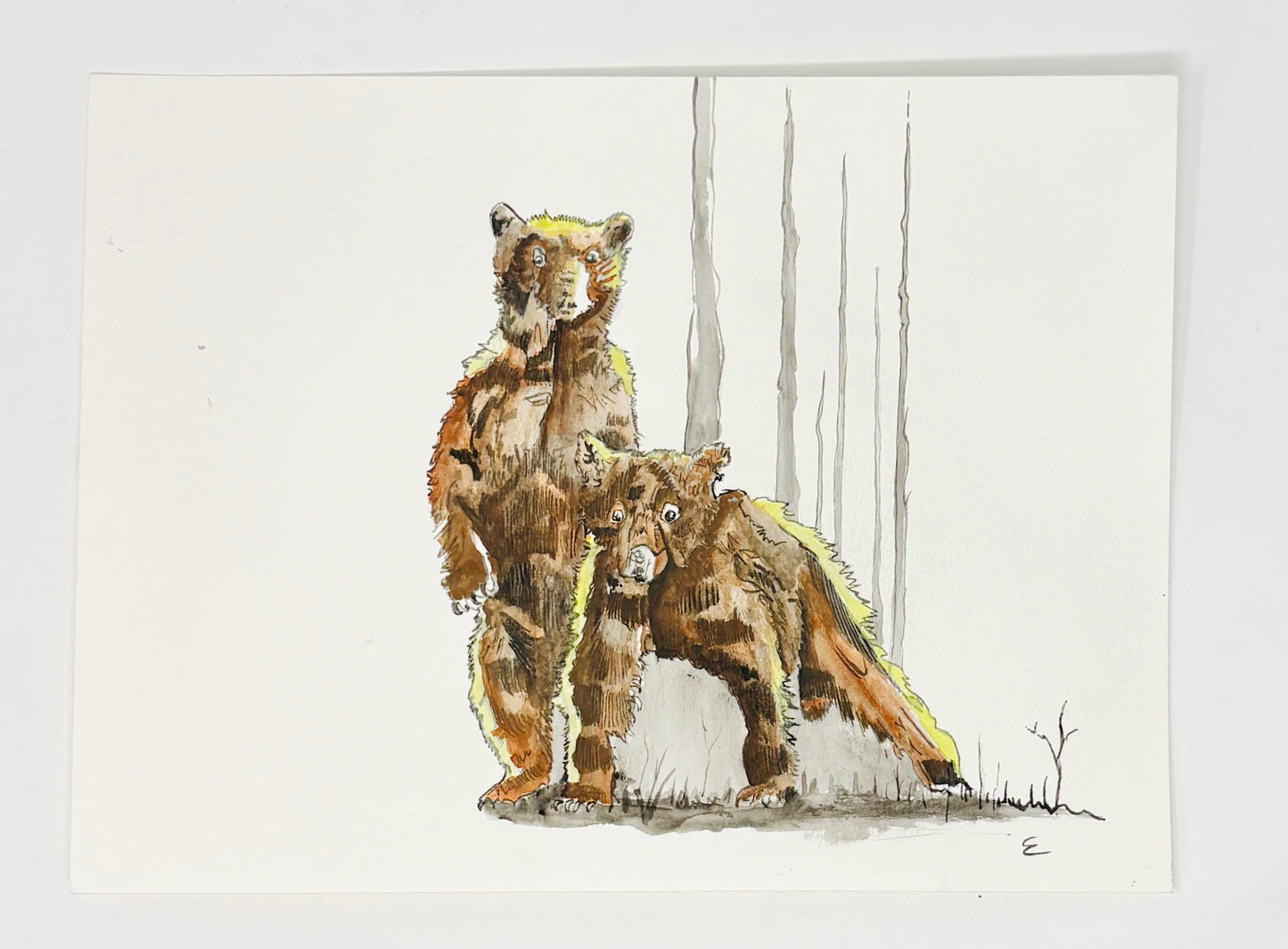 Steve Ehrlich: Bear Watercolors