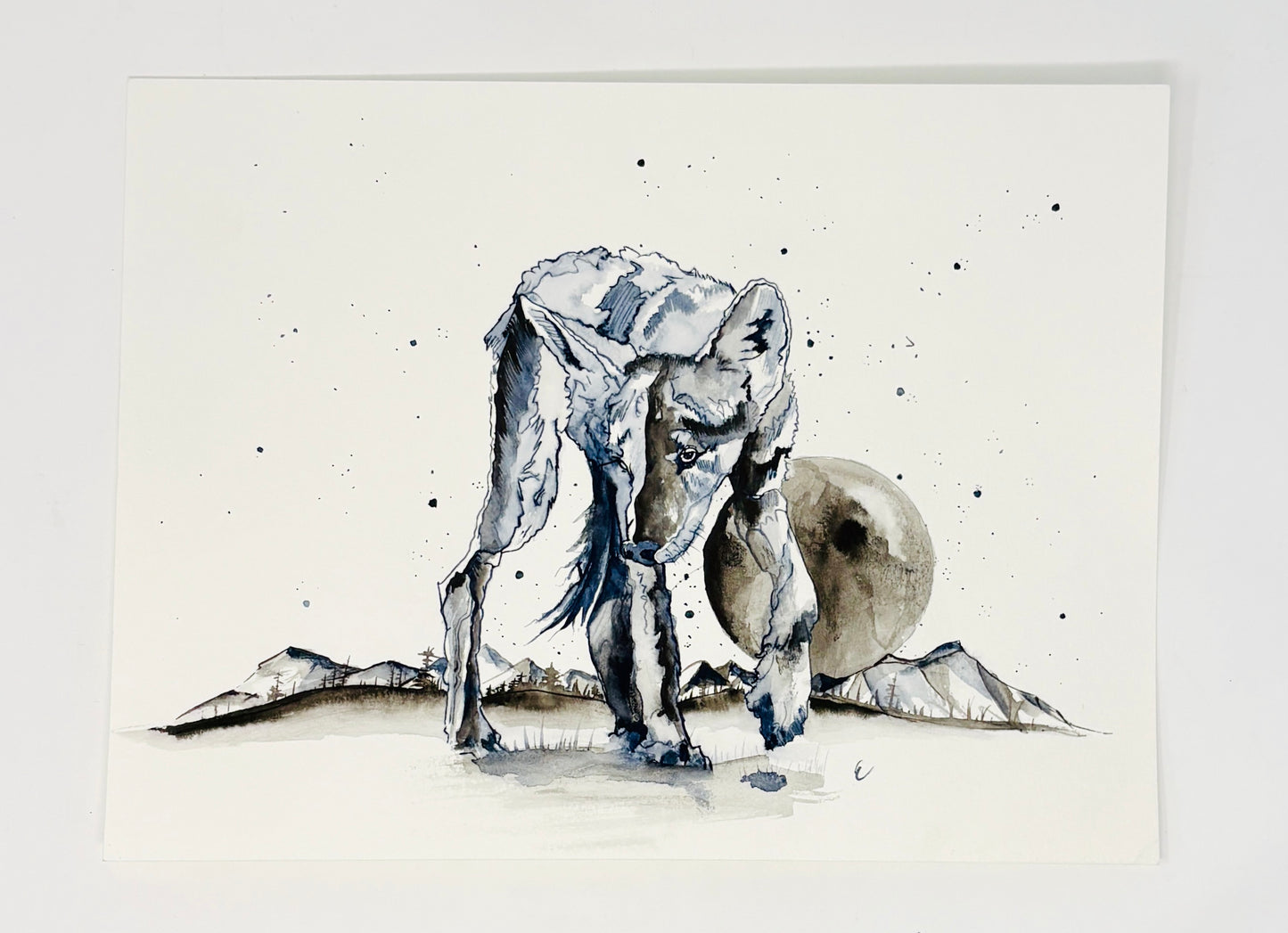 Steve Ehrlich: Greater Yellowstone Wildlife Watercolors
