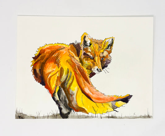 Steve Ehrlich: Wildlife Watercolors
