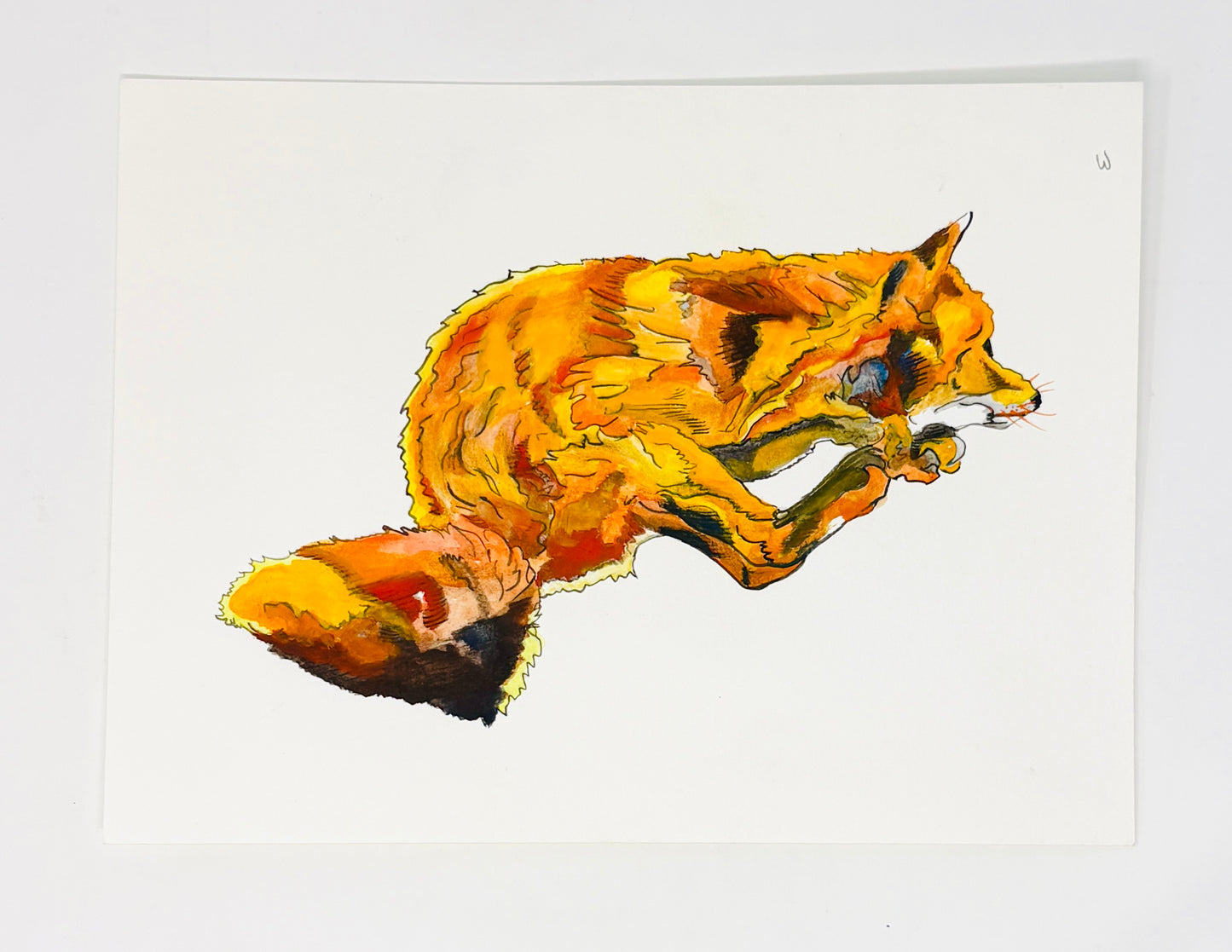 Steve Ehrlich: Wildlife Watercolors