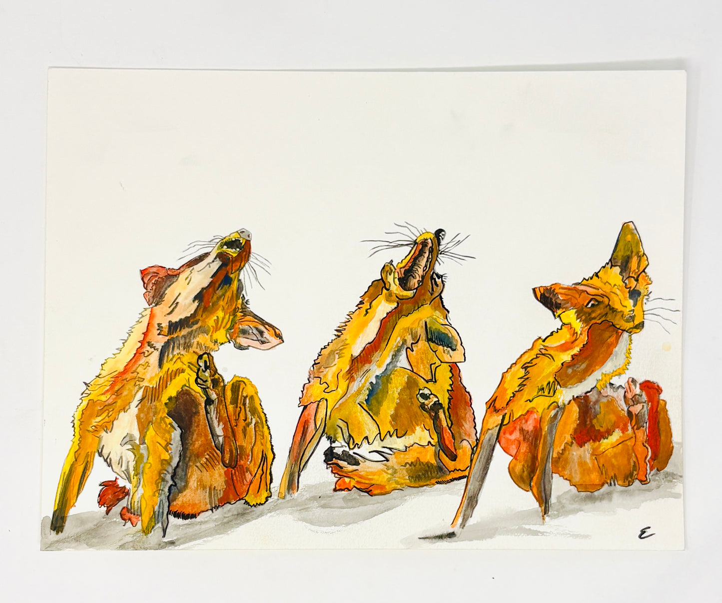 Steve Ehrlich: Wildlife Watercolors