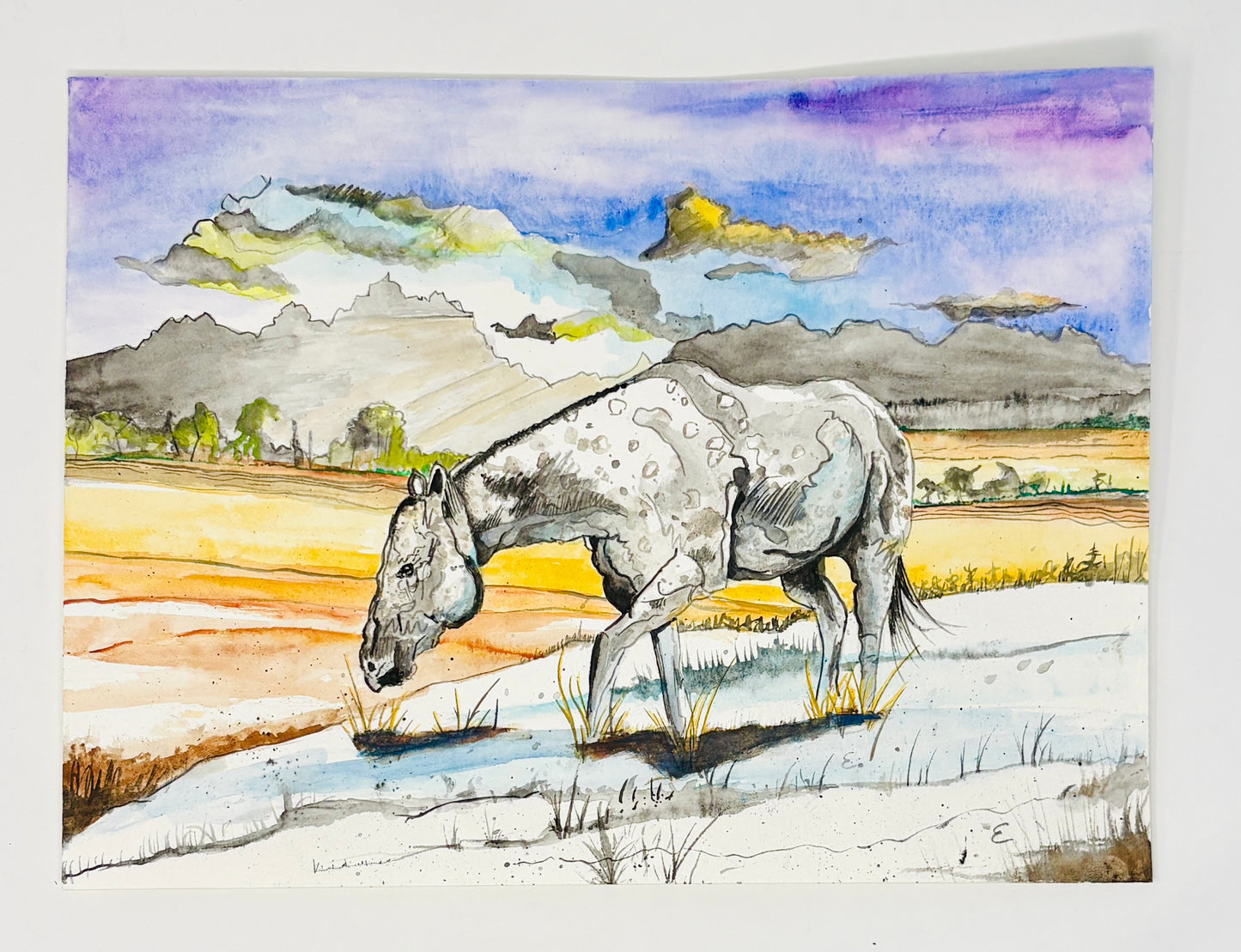 Steve Ehrlich: Horse Watercolors