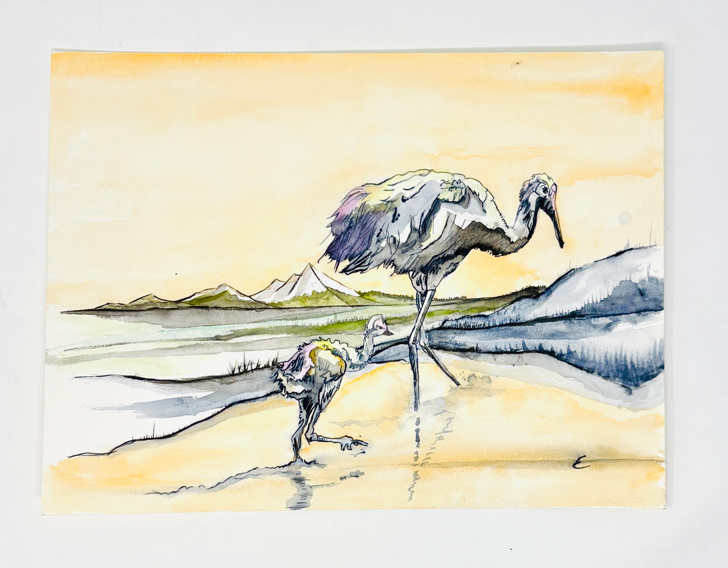 Steve Ehrlich: Bird and Raptor Watercolors