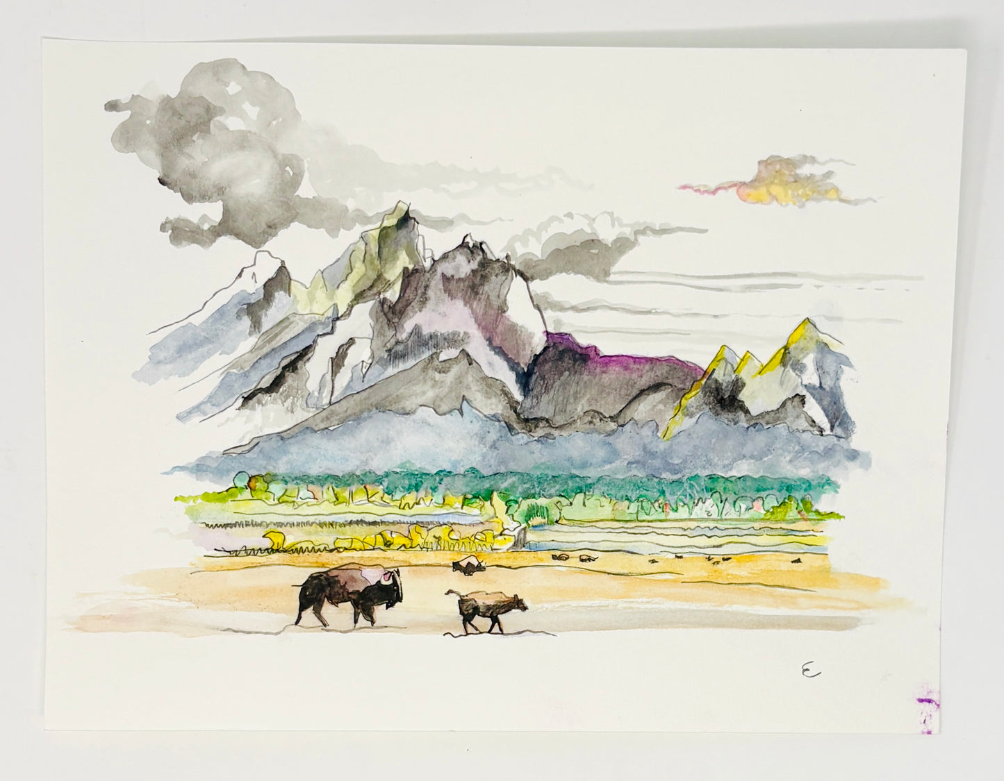 Steve Ehrlich: Bison Watercolors
