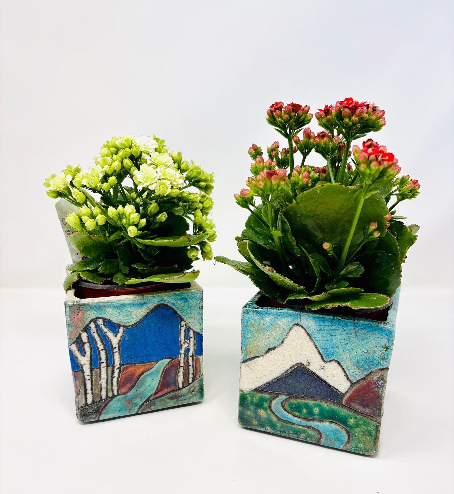Emily Belsham Rakuscapes: Planters