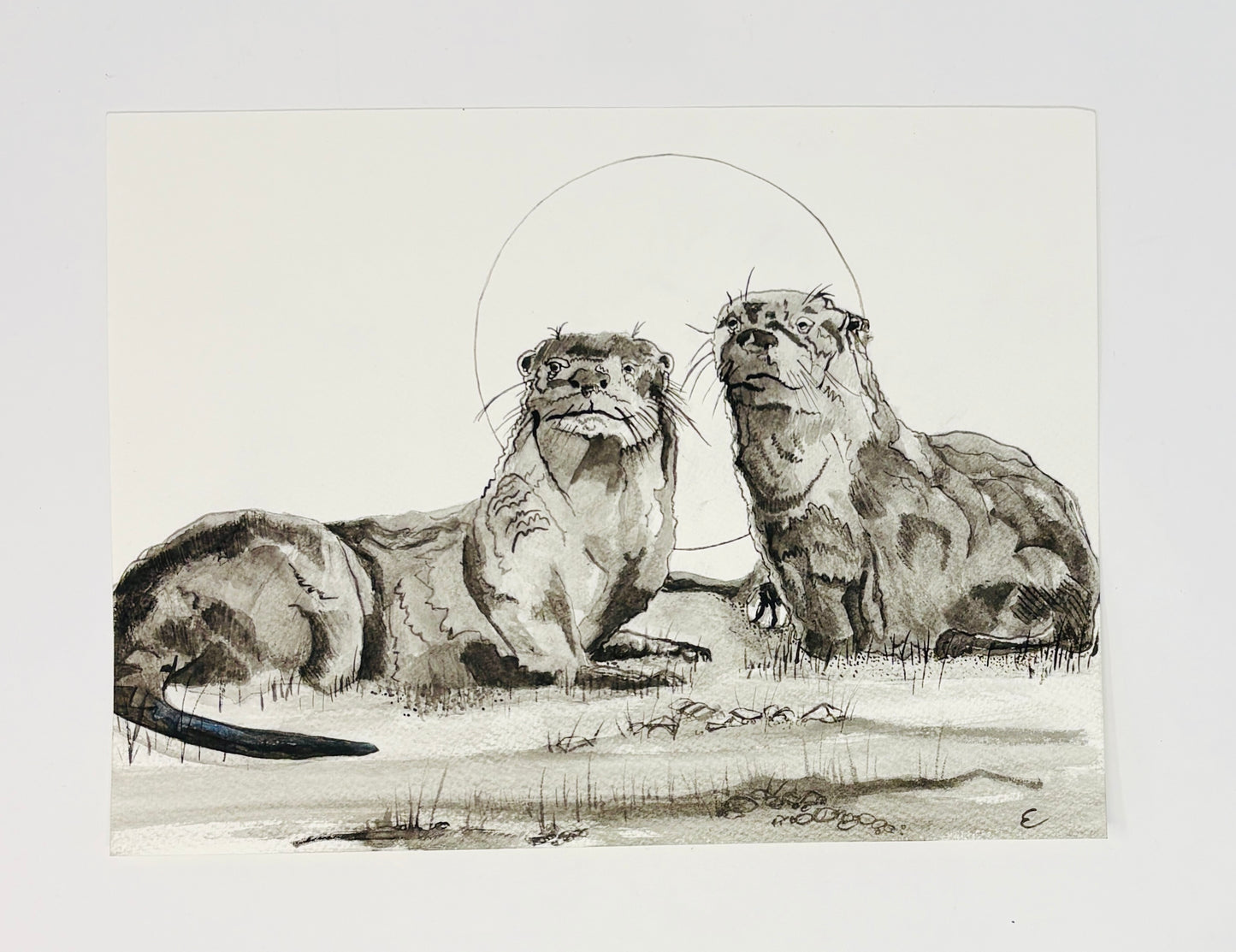 Steve Ehrlich: Otter Watercolors
