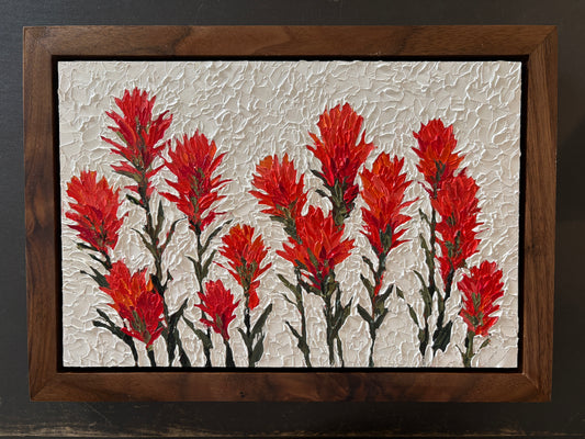 Lxi Weber: Indian Paintbrush