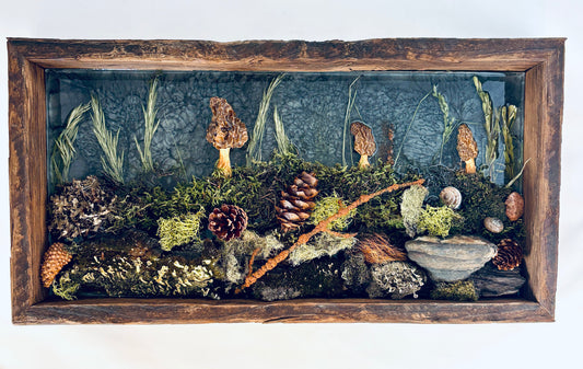 Julianna Lovasz: Grand Forest Floor