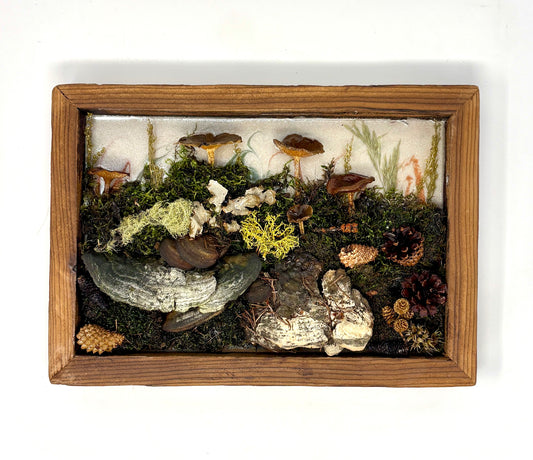 Julianna Lovasz: Forest Glimmers