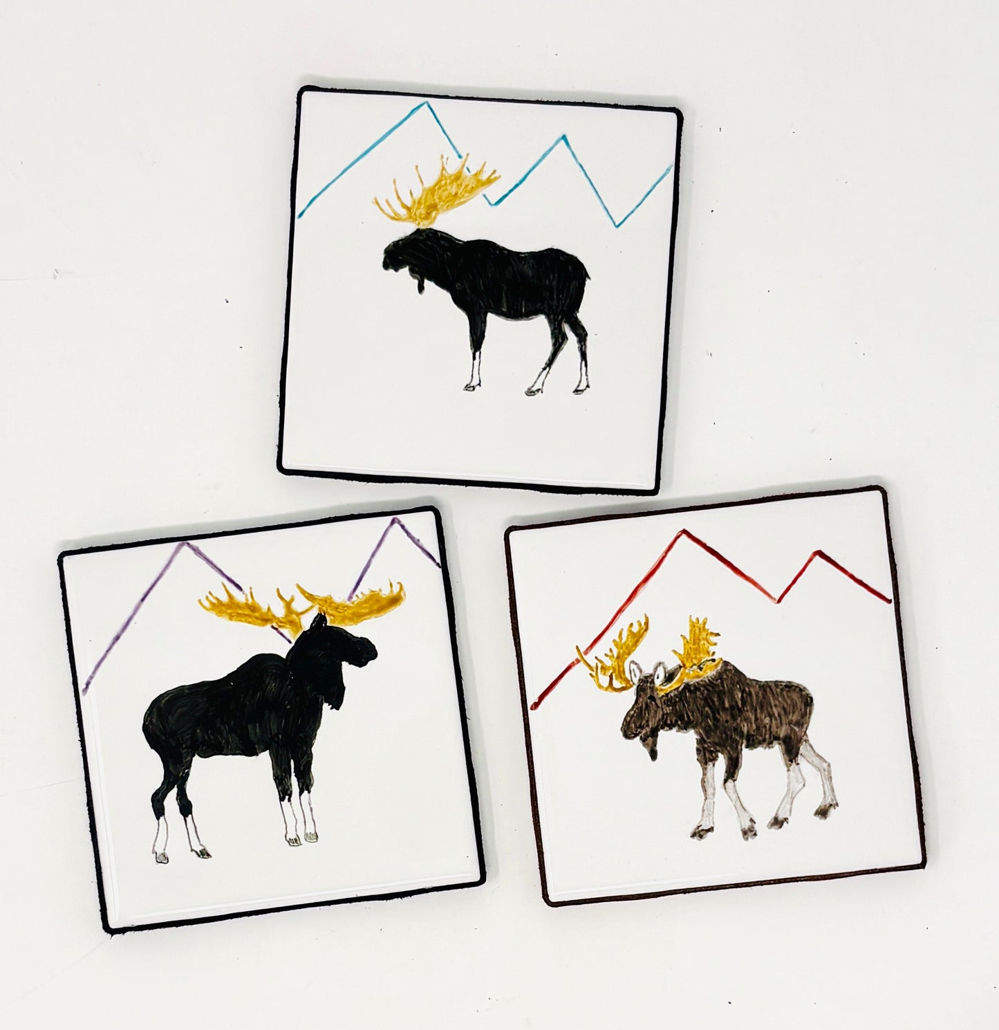 Sue Morriss: Wildlife Coaster