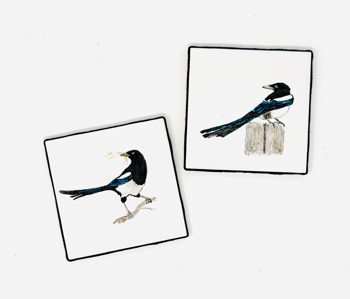 Sue Morriss: Wildlife Coaster