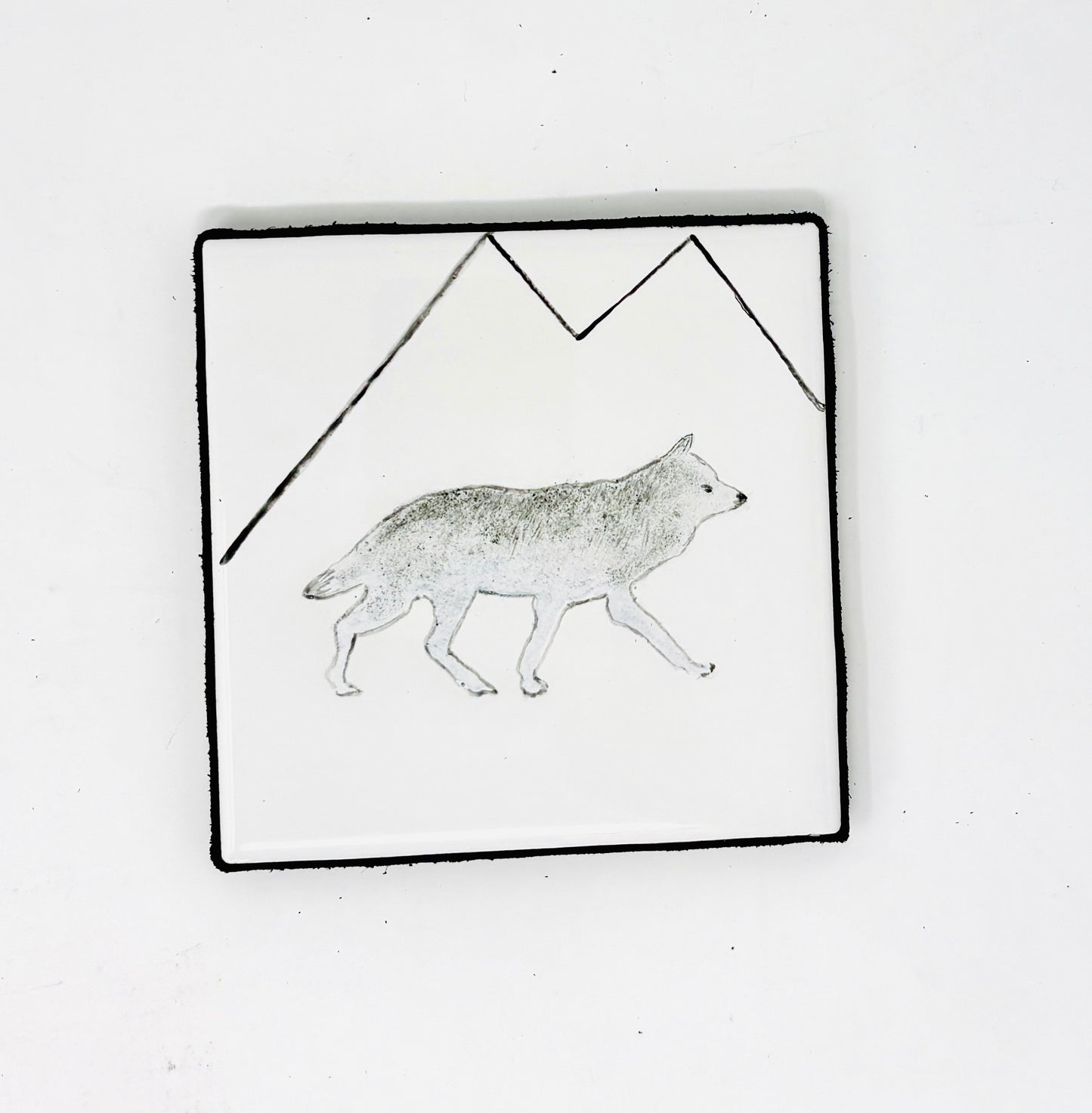 Sue Morriss: Wildlife Coaster