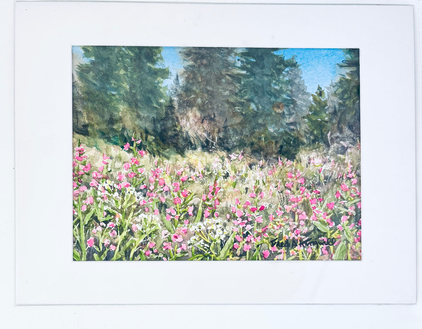 Fred Kingwill: Fireweed Meadow
