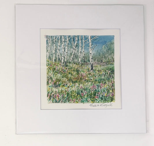 Fred Kingwill: Aspens Spring