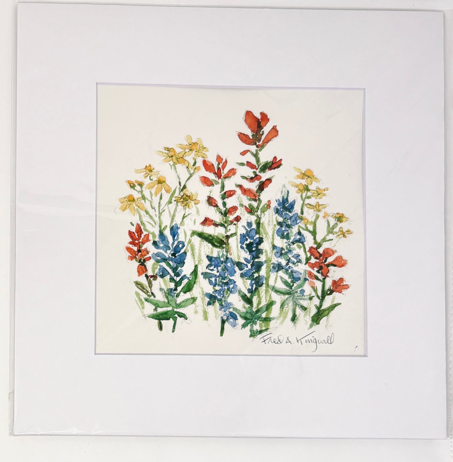 Fred Kingwill: Flowers