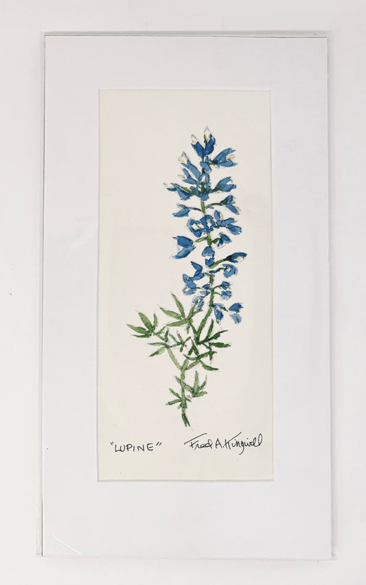 Fred Kingwill: Lupine