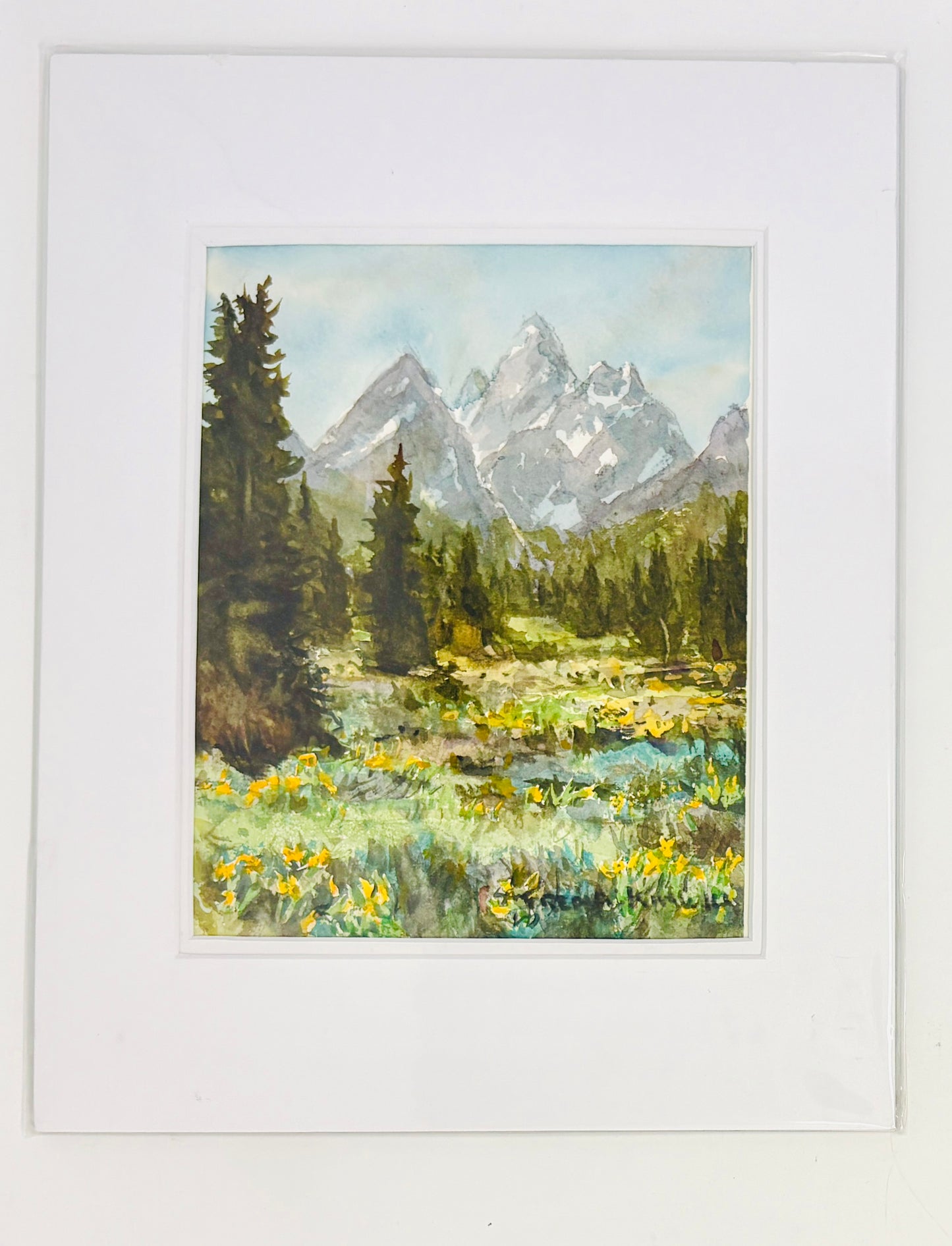 Fred Kingwill: Teton Meadow