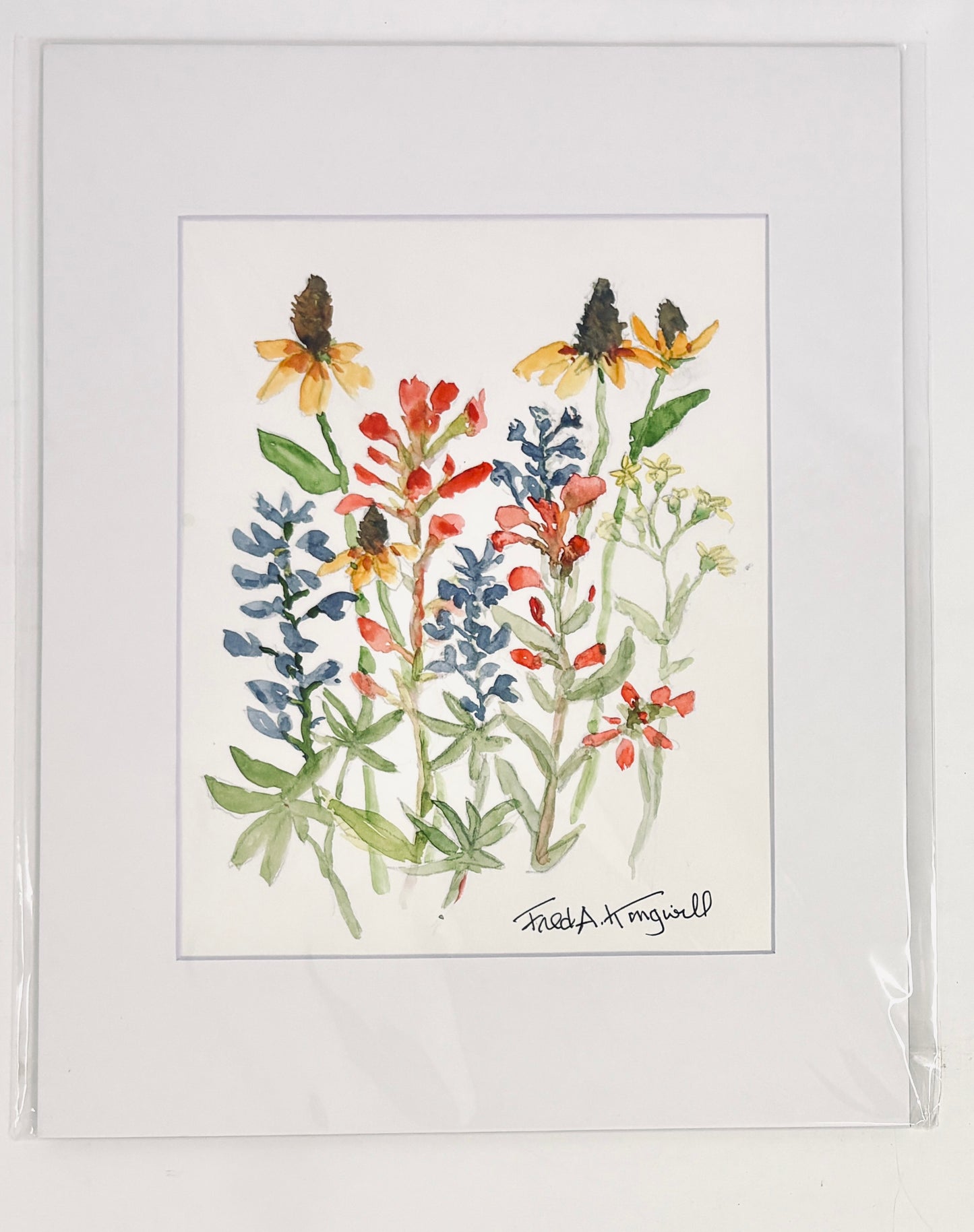 Fred Kingwill: Flowers