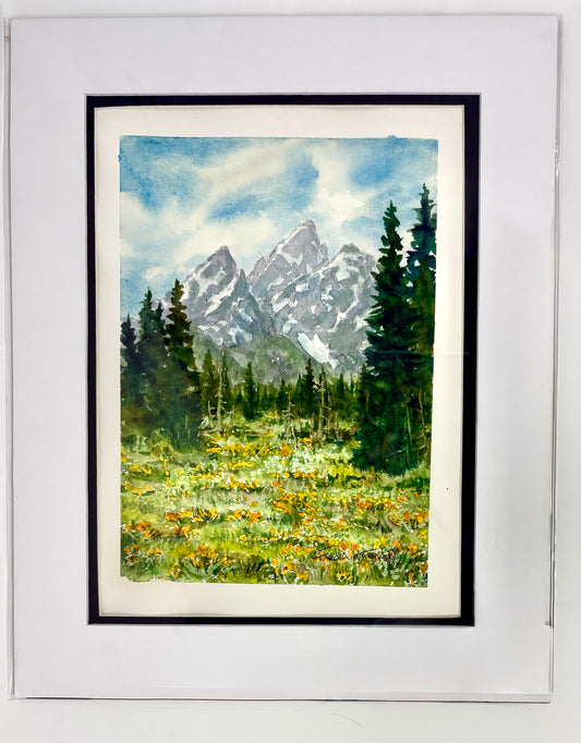 Fred Kingwill: Balsamroot Time in Tetons
