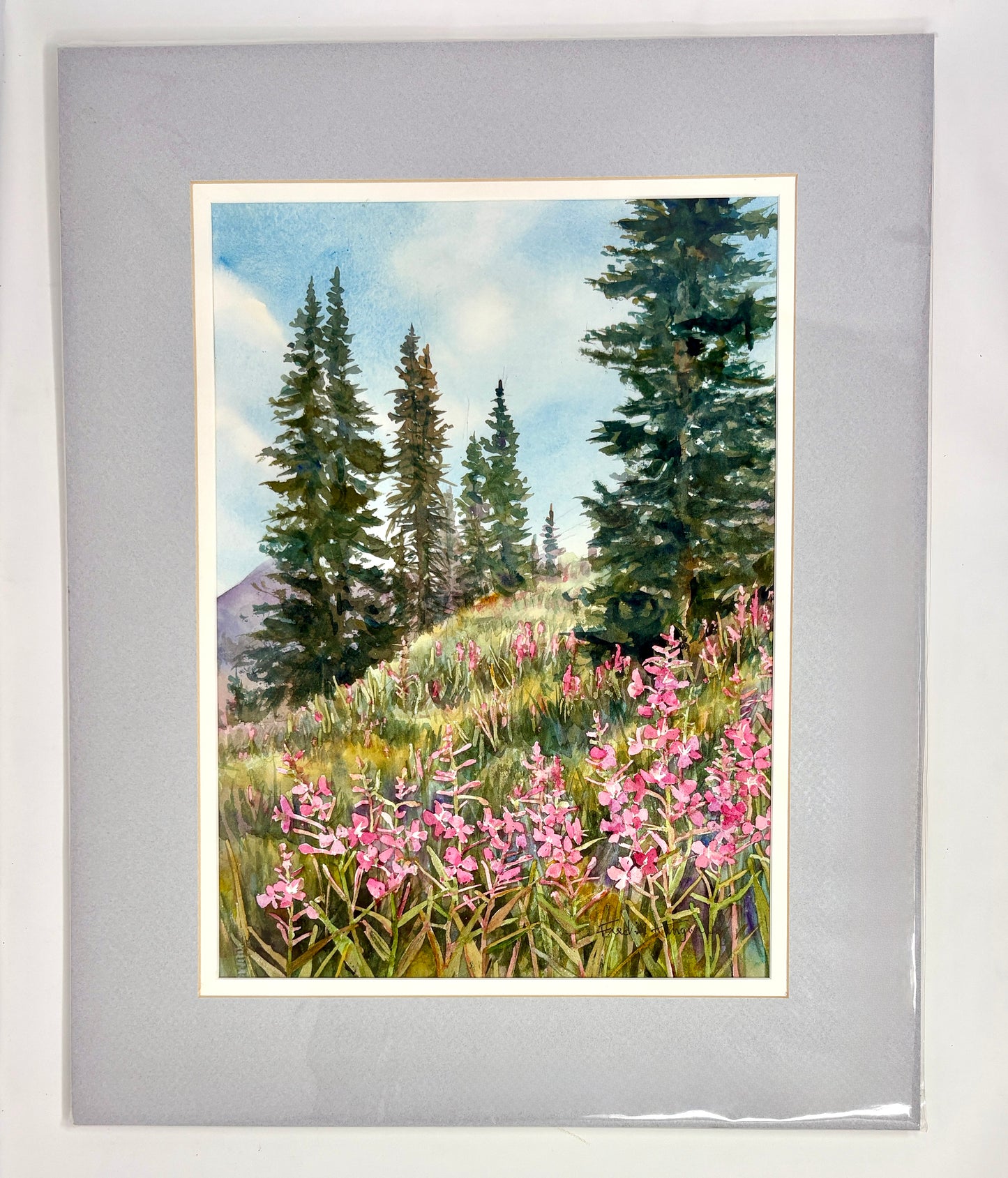 Fred Kingwill: Mountain Fireweed on Teton Pass