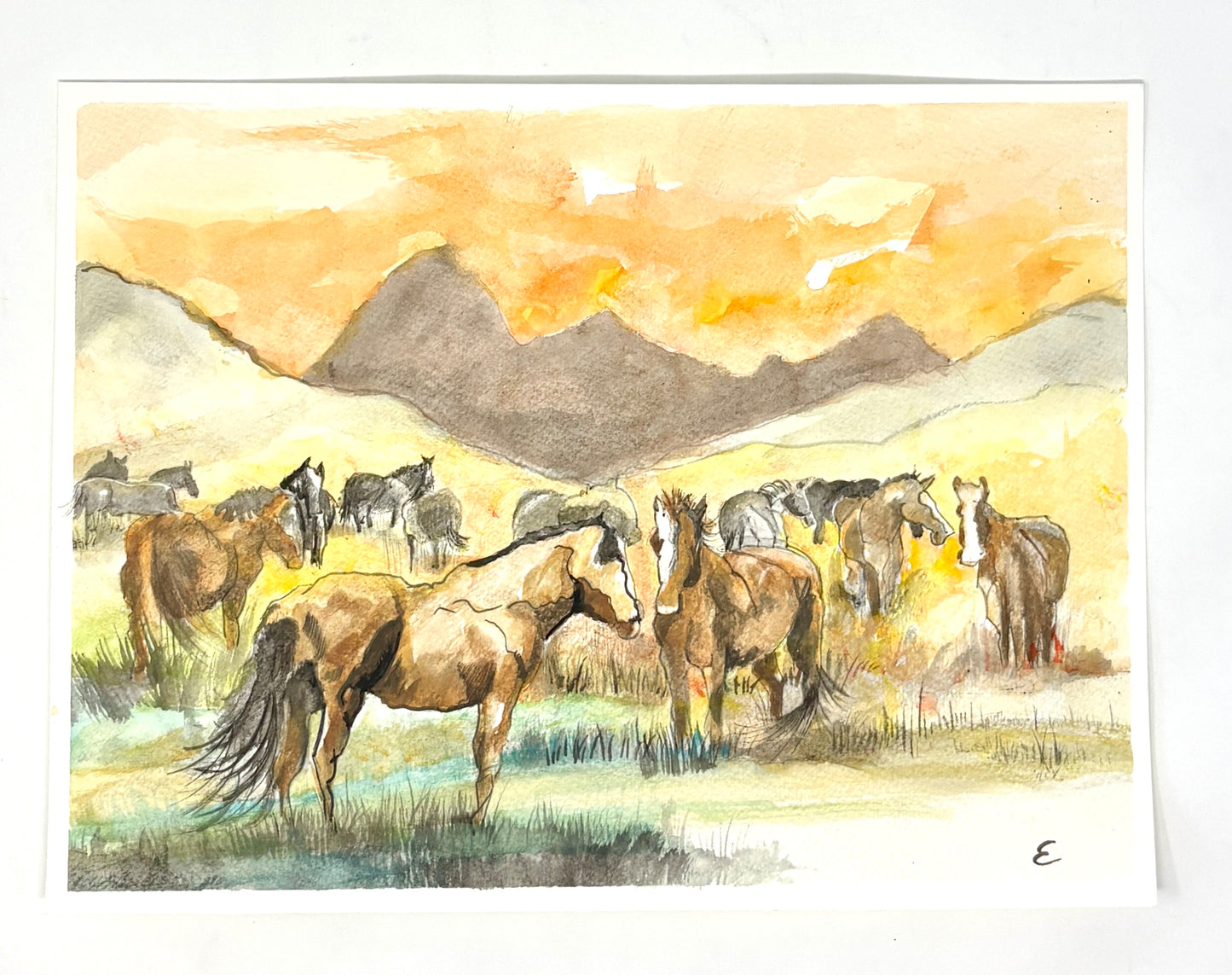 Steve Ehrlich: Horse Watercolors