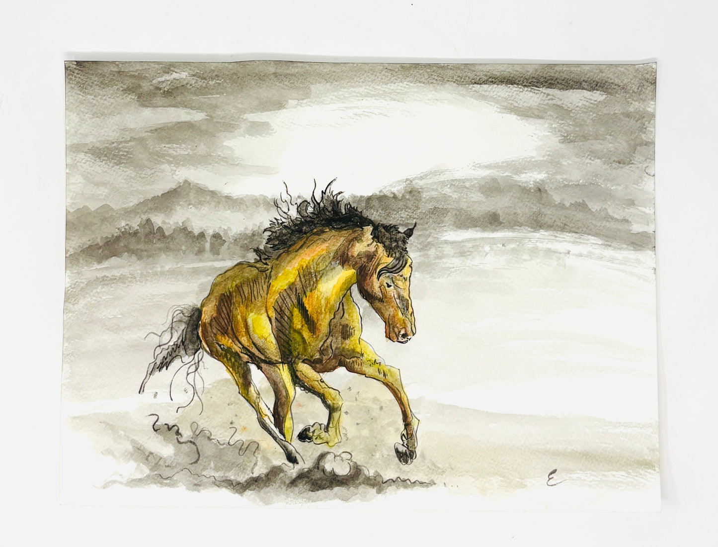 Steve Ehrlich: Horse Watercolors