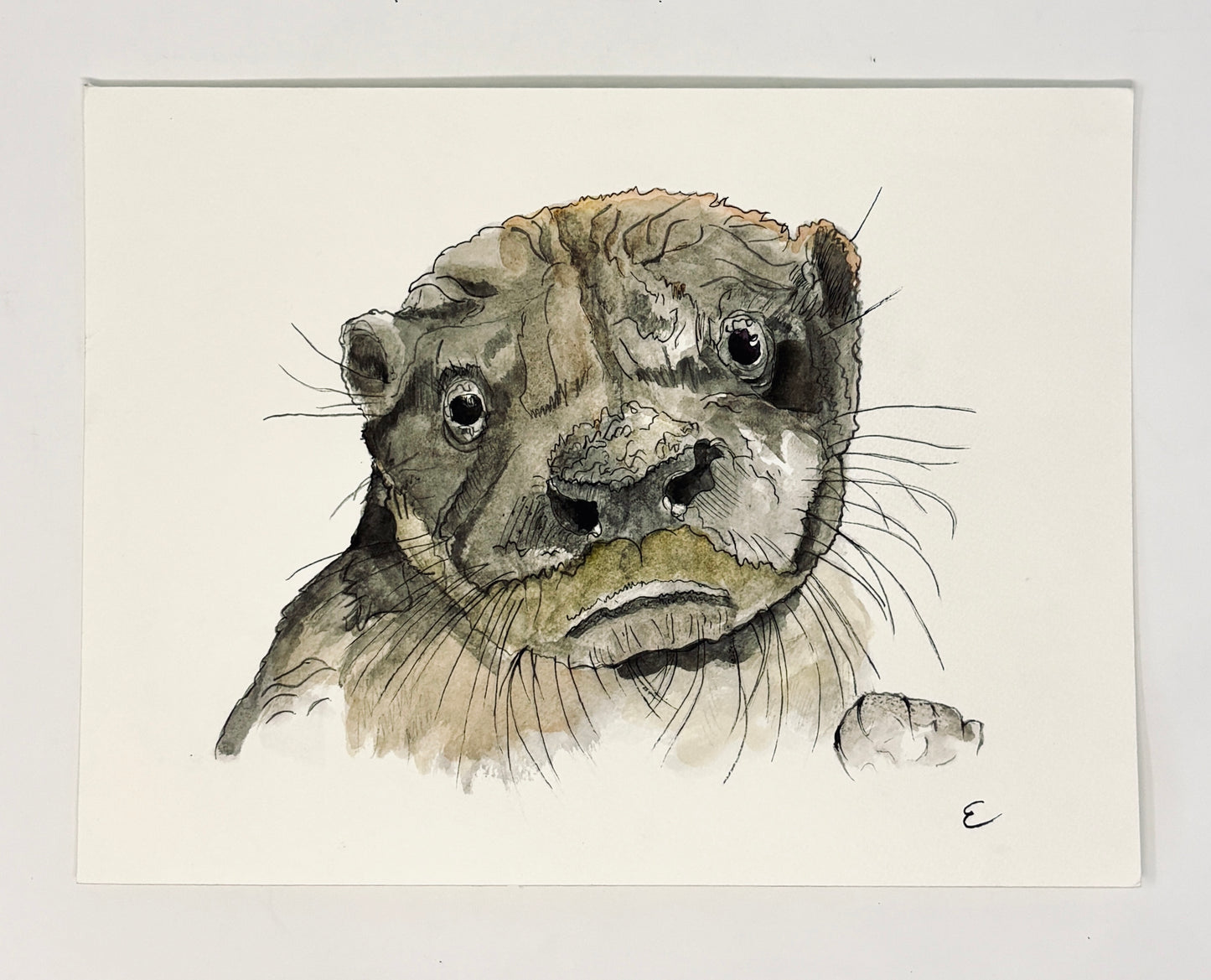 Steve Ehrlich: Otter Watercolors