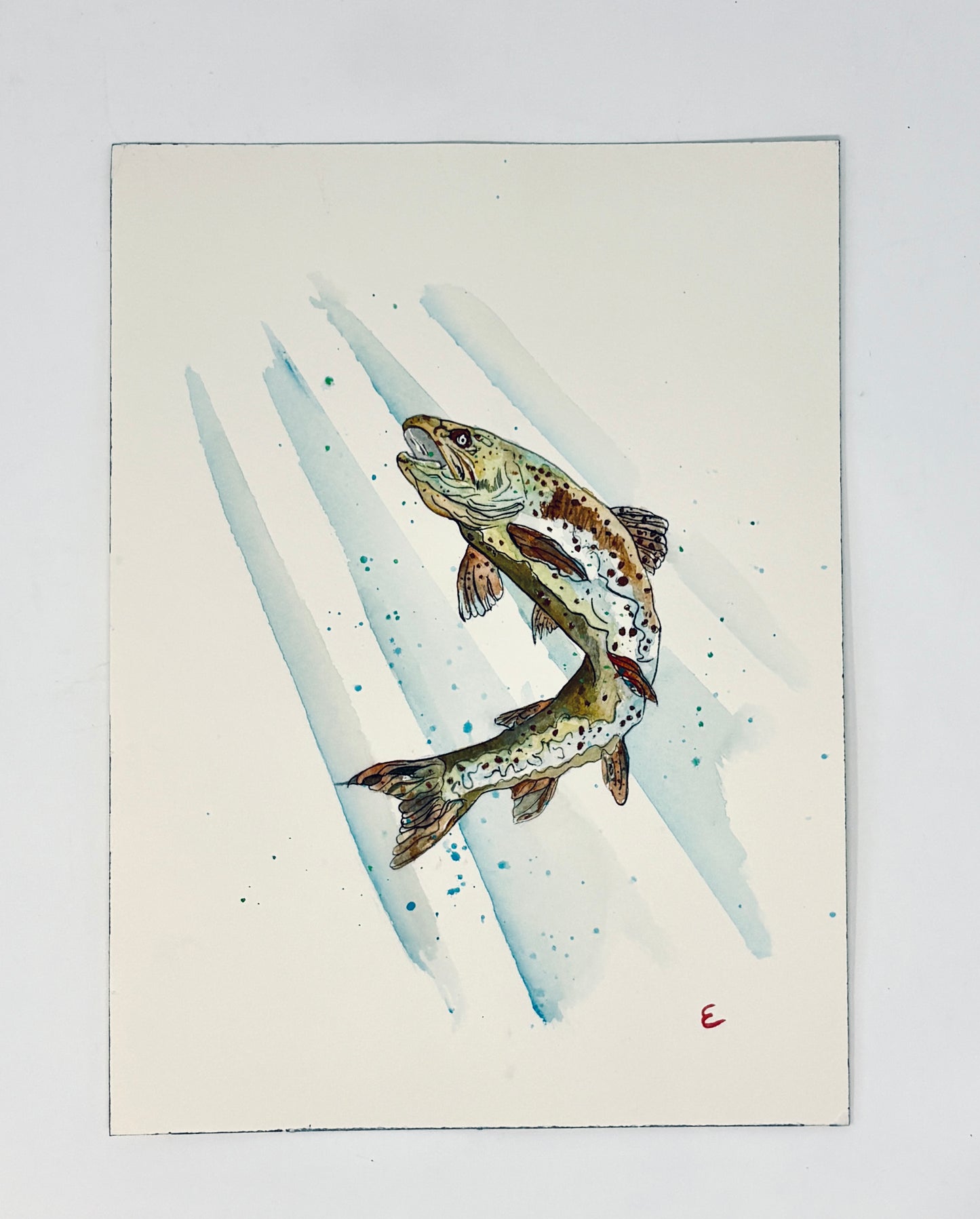 Steve Ehrlich: Trout Watercolors