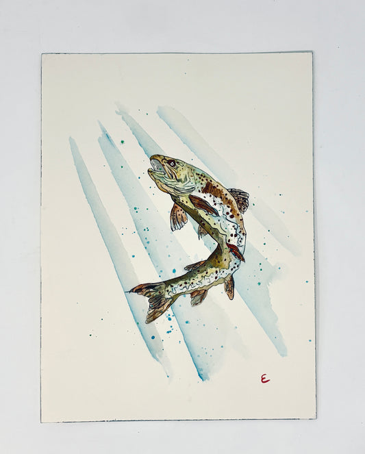 Steve Ehrlich: Trout Watercolors