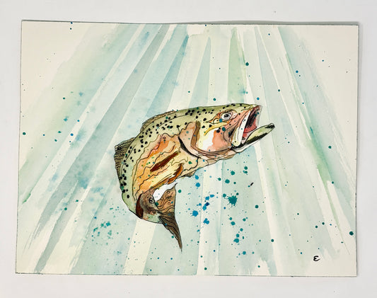 Steve Ehrlich: Trout Watercolors