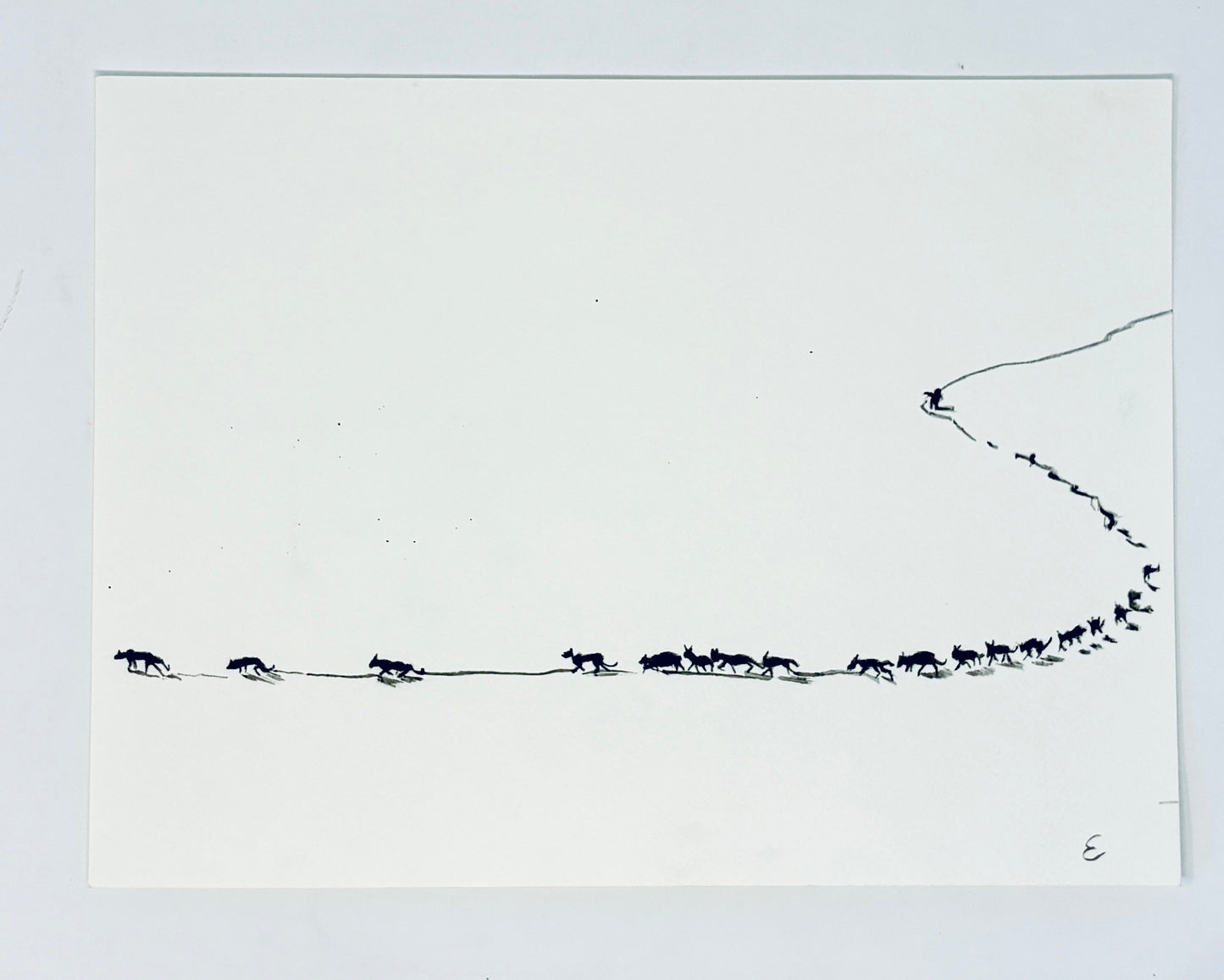 Steve Ehrlich: Greater Yellowstone Wildlife Watercolors