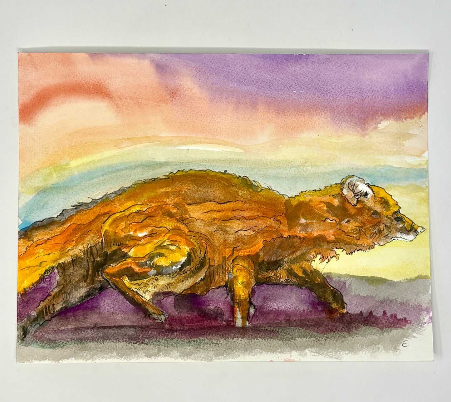 Steve Ehrlich: Fox Watercolors