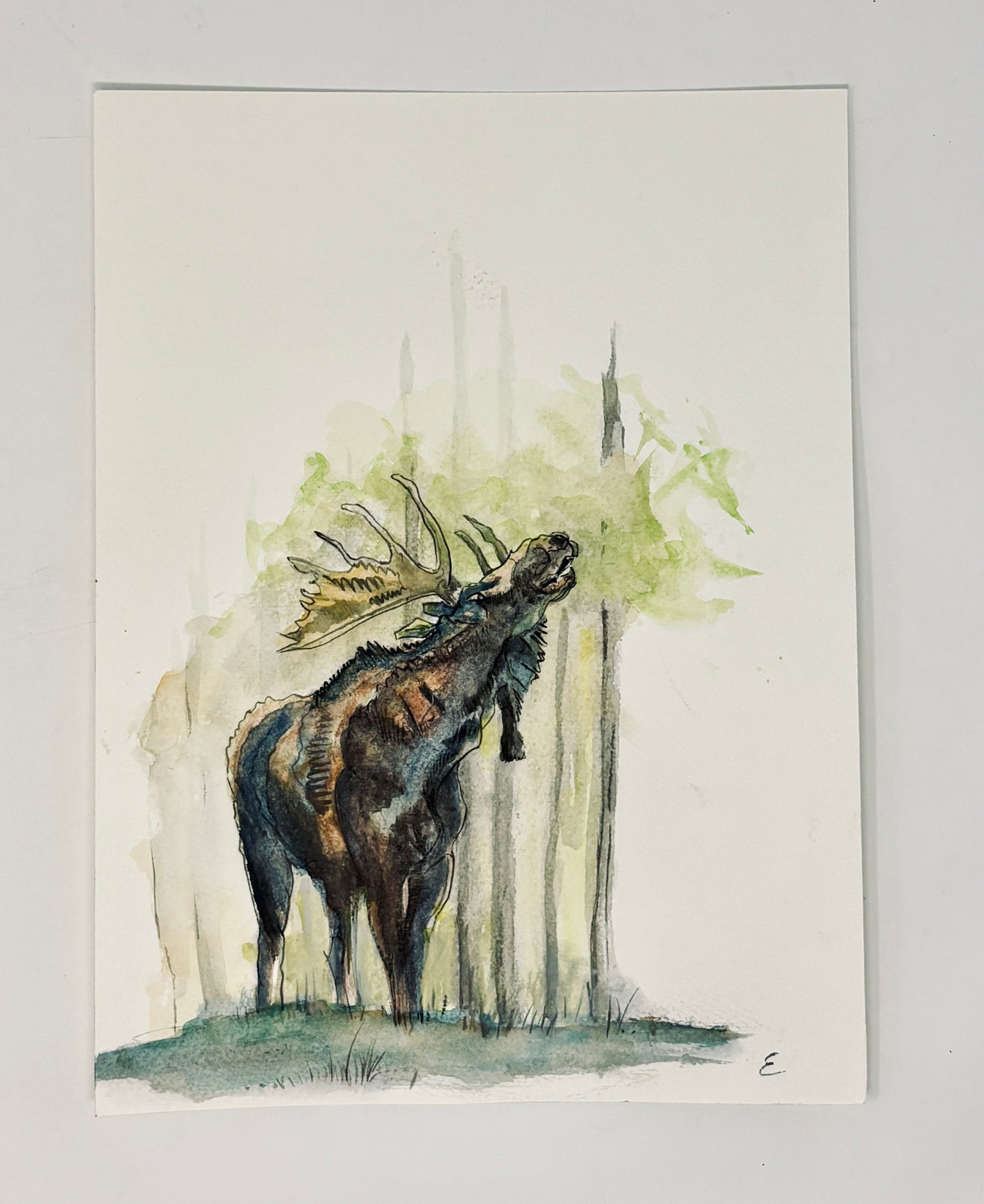 Steve Ehrlich: Moose Watercolors