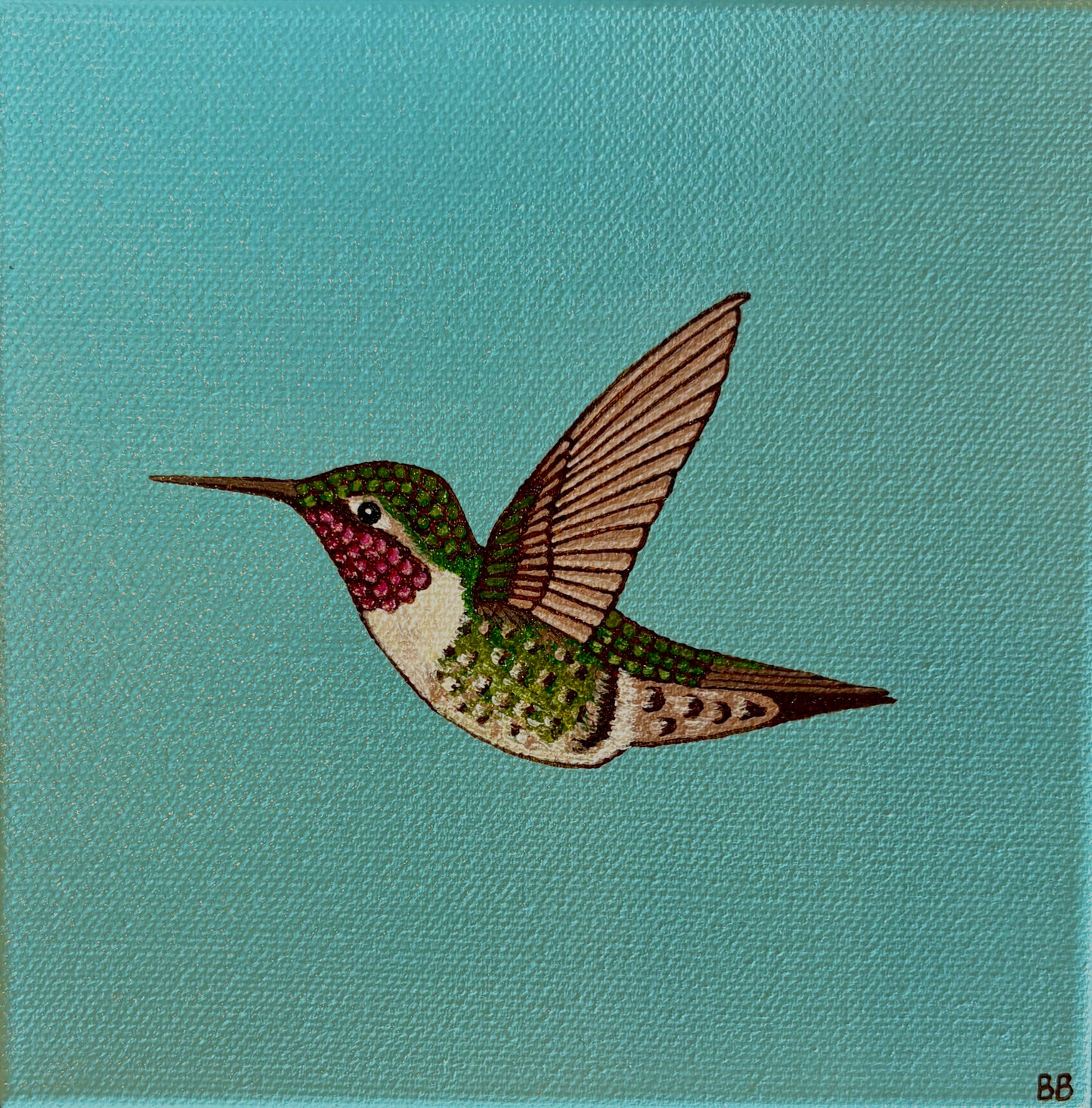 Becca Bouley: Blue Broadtail