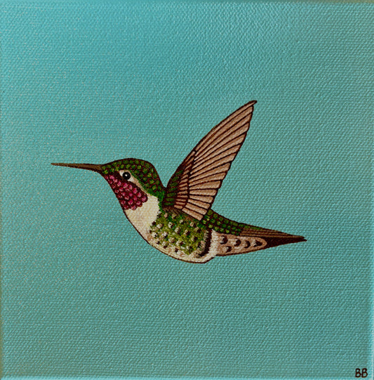 Becca Bouley: Blue Broadtail