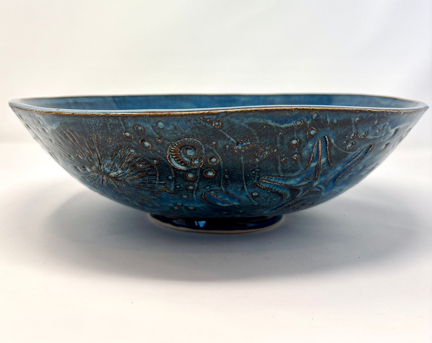 Valerie Seaberg: Reverse Fossil Bowl