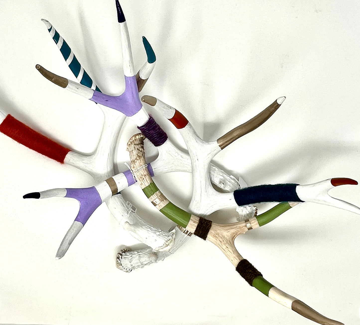 Kevin Rauch-Lynch: Mule Deer Antler