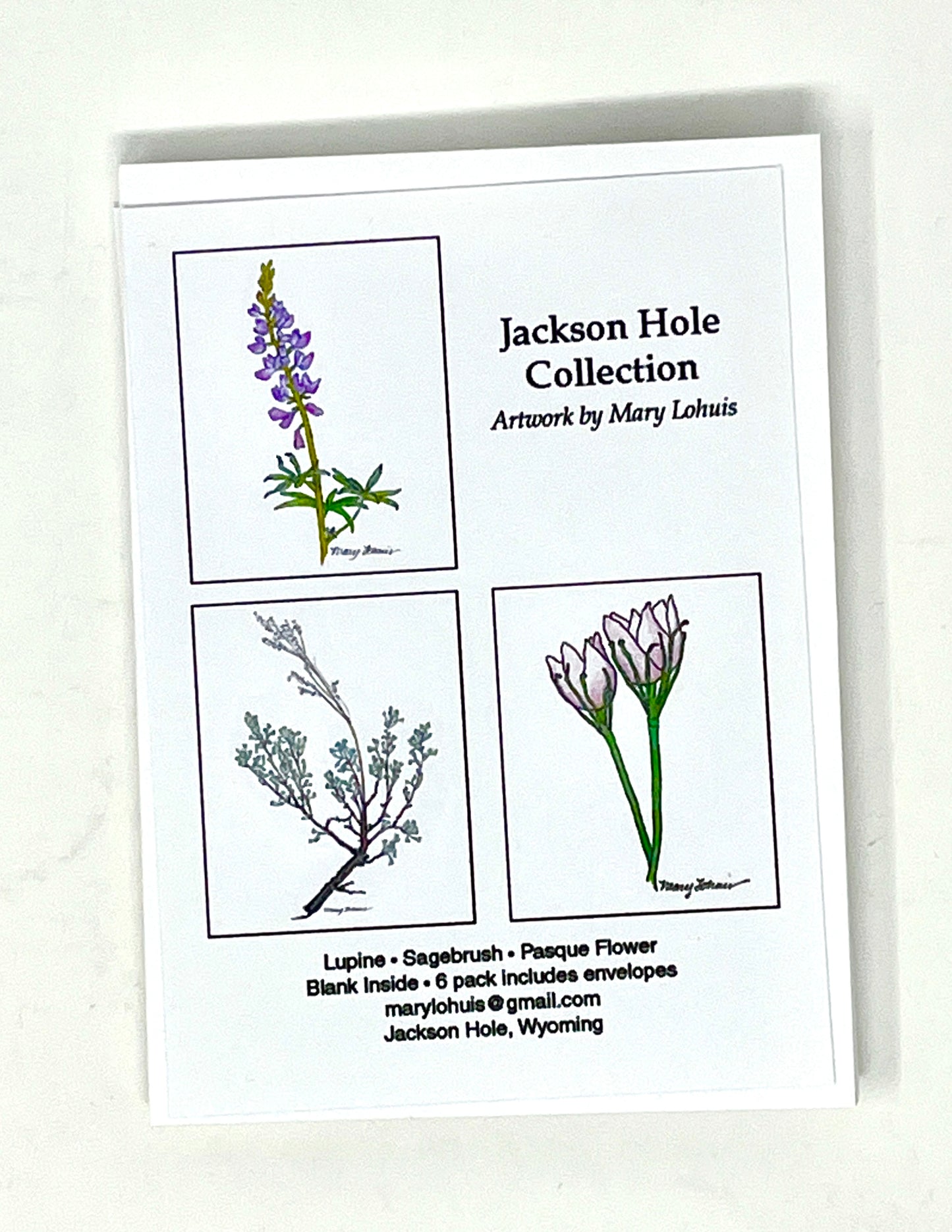 Mary Lohuis: Jackson Hole Collection Notecards