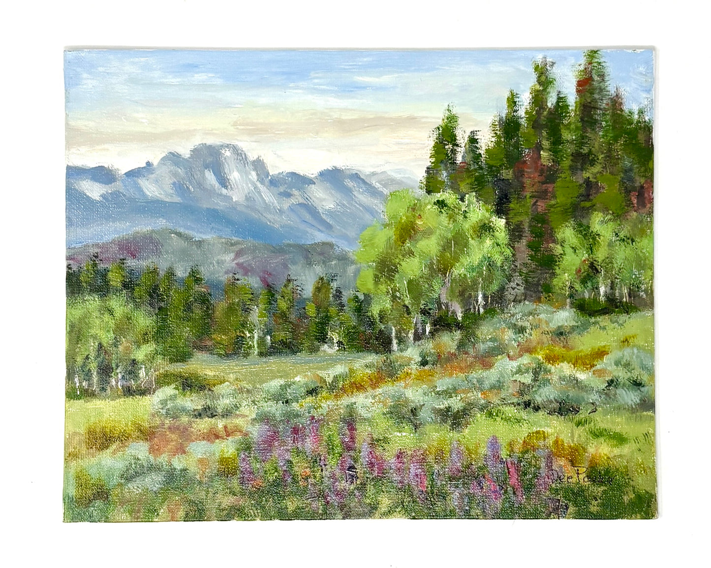 Dee Parker: Togwotee Pass