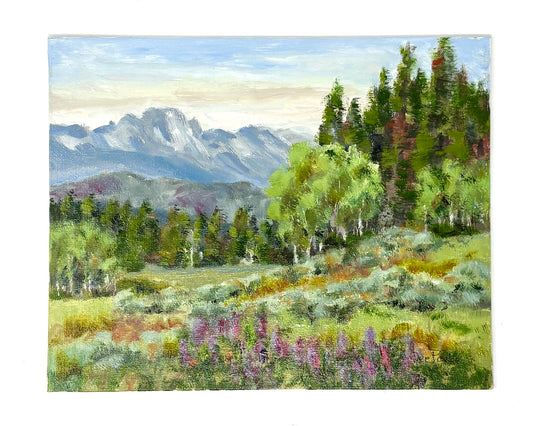 Dee Parker: Togwotee Pass