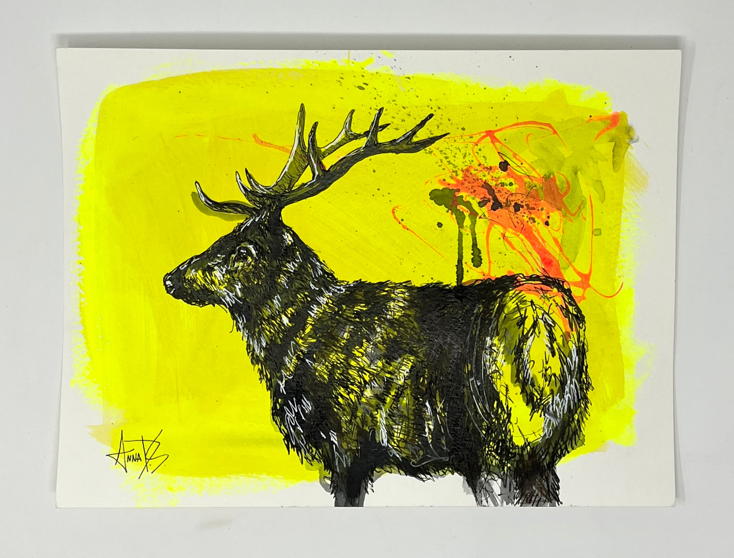 Anna Douglas Smith: Elk