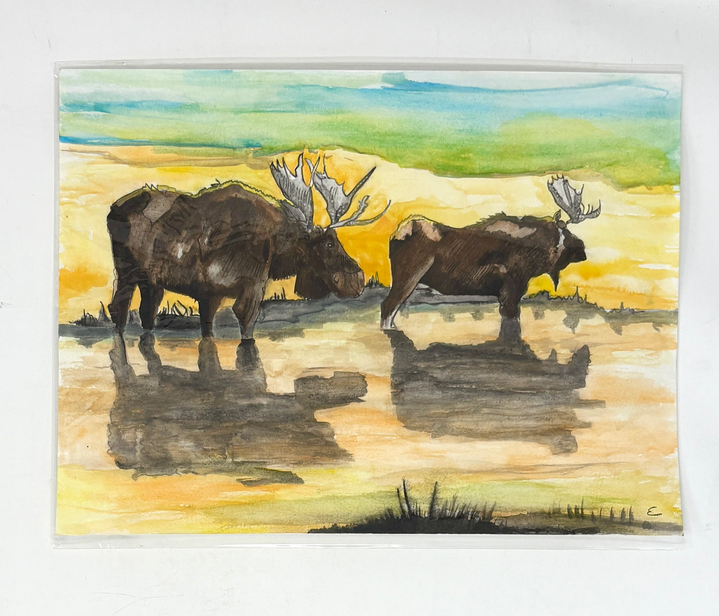 Steve Ehrlich: Moose Watercolors