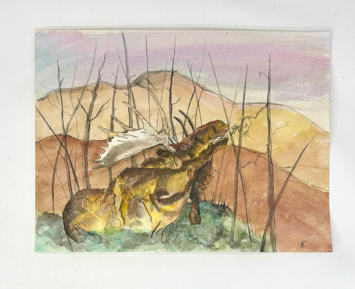 Steve Ehrlich: Moose Watercolors