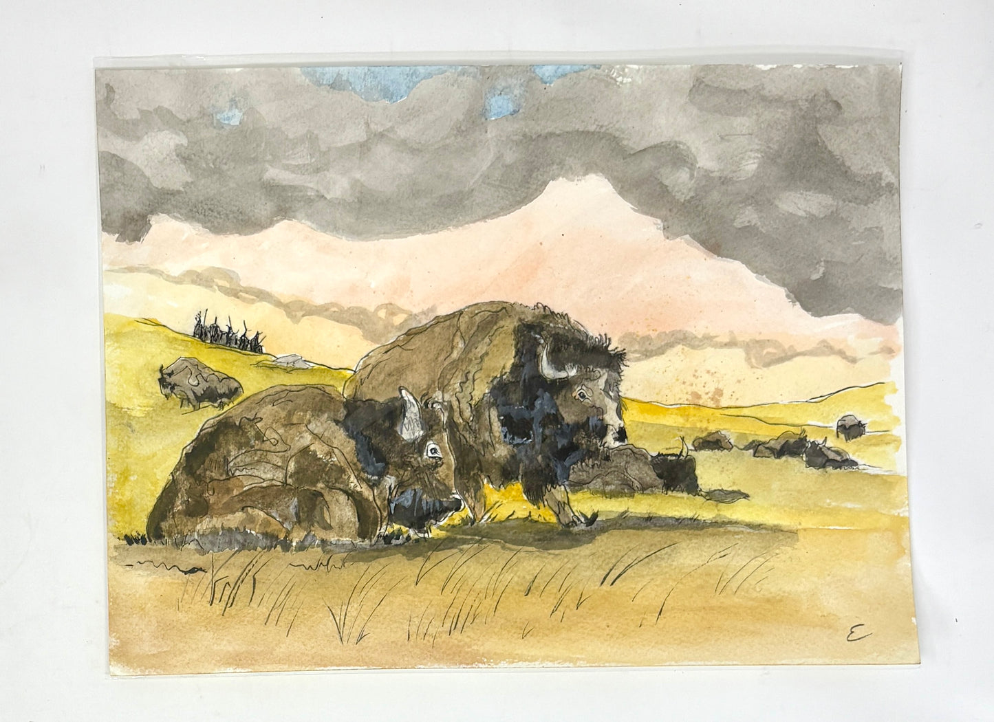 Steve Ehrlich: Bison / Tetons Watercolors