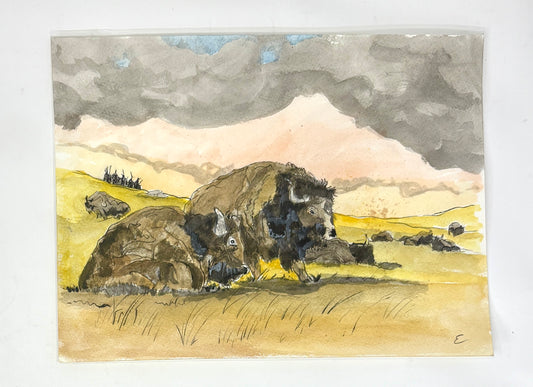 Steve Ehrlich: Bison / Tetons Watercolors