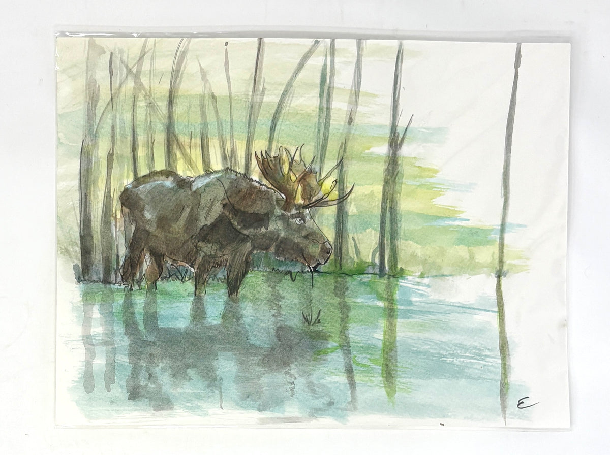 Steve Ehrlich: Moose Watercolors