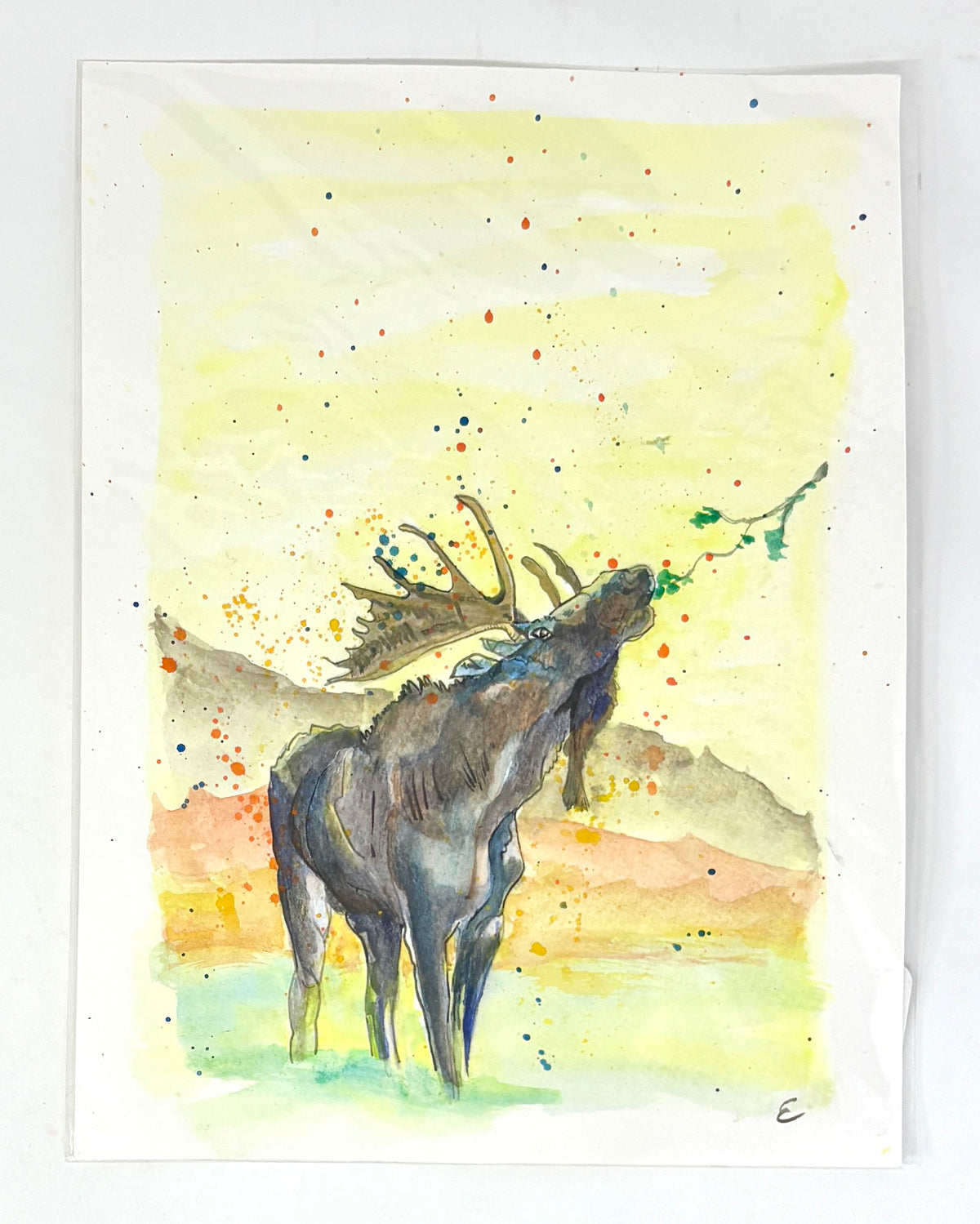 Steve Ehrlich: Moose Watercolors
