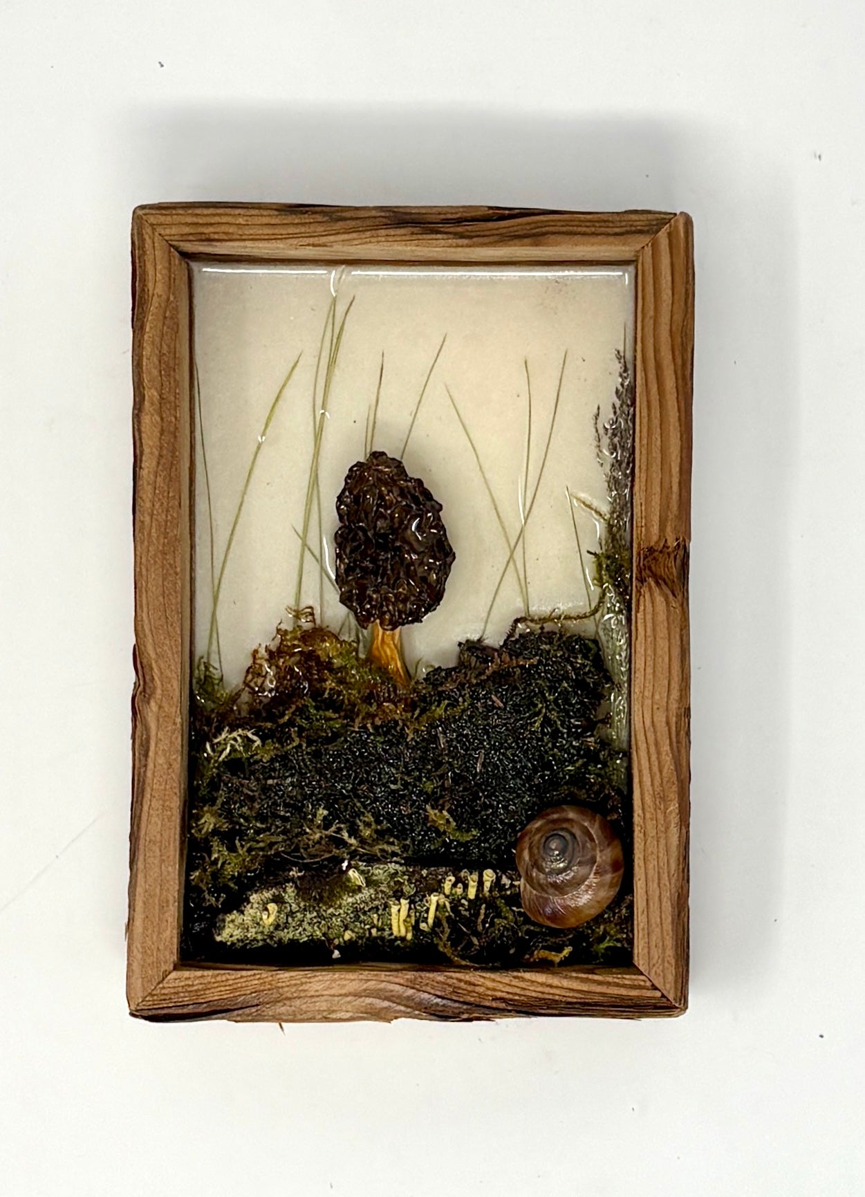 Julianna Lovasz: Mini Mushroom Frames