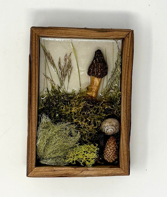 Julianna Lovasz: Mini Mushroom Frames